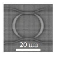 PubThumb_IEEEPhotonics_2013_Poon